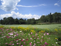 木曽町