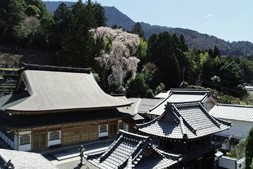 特集番組の場合